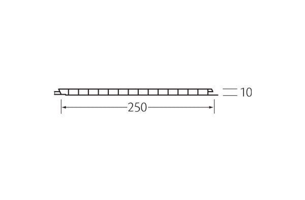 Vlak kunststof paneel 250x10 mm