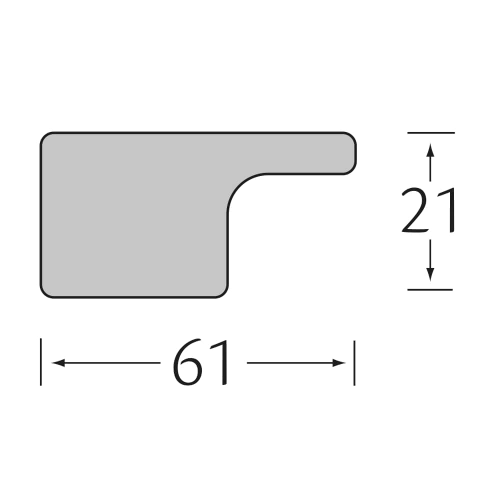 Linerio startprofiel L 2650x61x21 mm