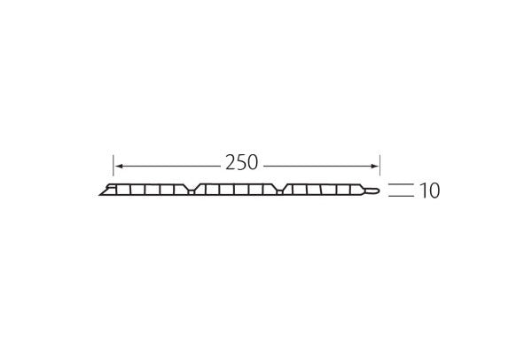 3V bekledingspaneel 250x10 mm