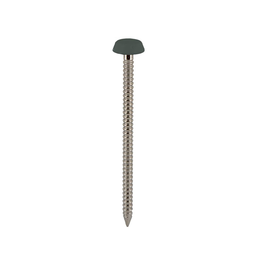 Spijker kunststof kop 40 mm 250 stuks