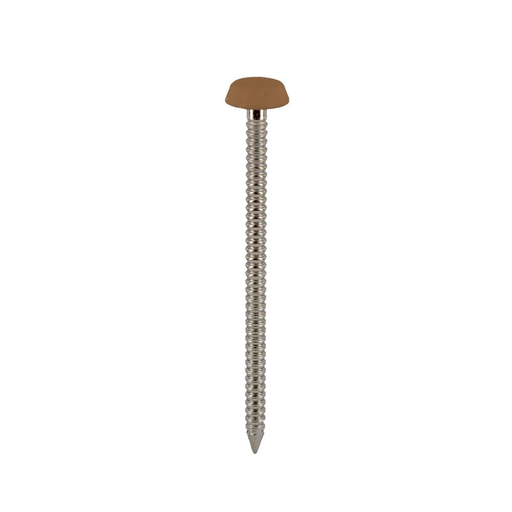 Spijker kunststof kop 40 mm 250 stuks